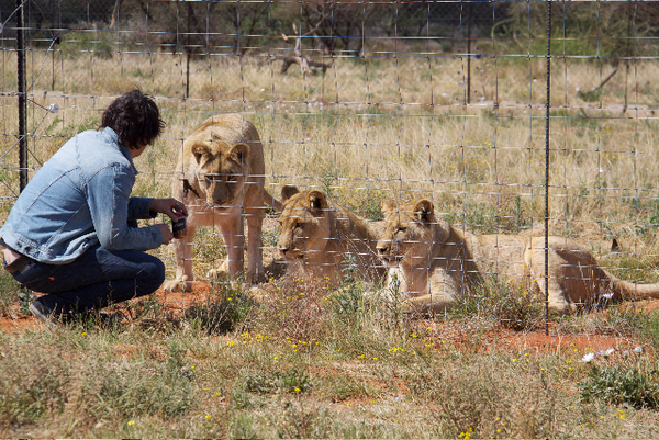 South Africa Chill Time: DJ Wade with Lions